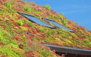 Shortstown living roof systems